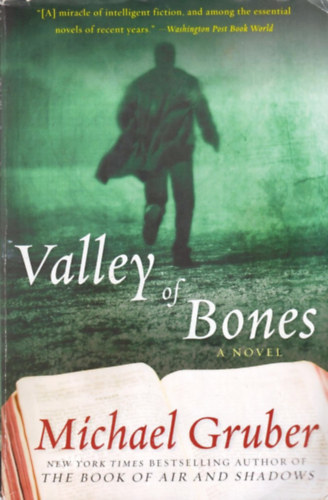 Michael Gruber - Valley of Bones