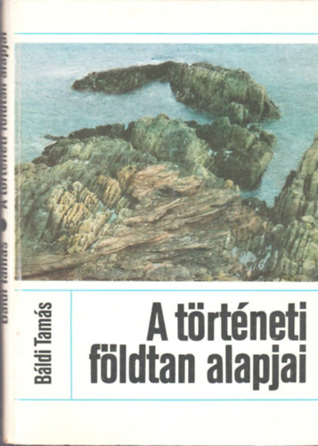 B�ldi Tam�s - A t�rt�neti f�ldtan alapjai