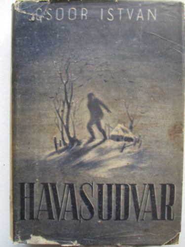 Cso�r Istv�n - Havas udvar