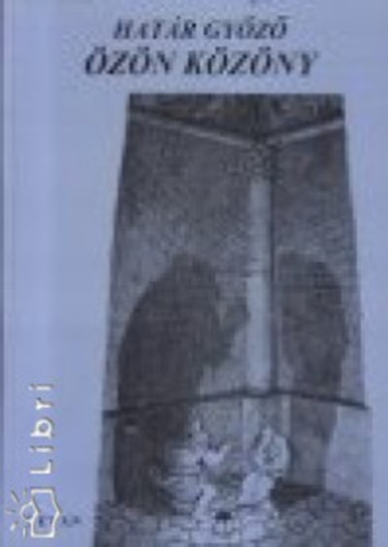 Hat�r Gy�z� - �z�n k�z�ny