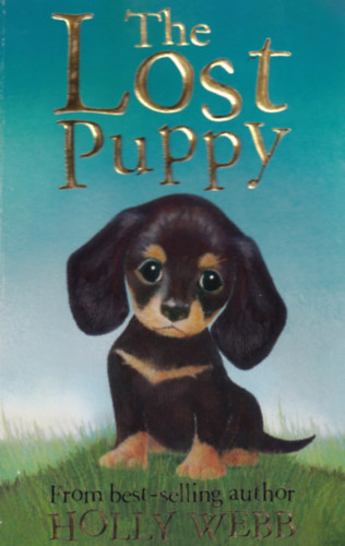 Holly Webb - The Lost Puppy