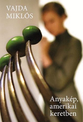 Vajda Mikl�s - Anyak�p, amerikai keretben
