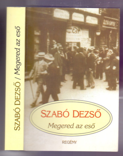 Szab� Dezs� - Megered az es� (reg�ny)