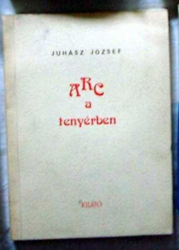Juh�sz J�zsef - Arc a teny�rben