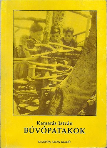 Kamarás István - Búvópatakok