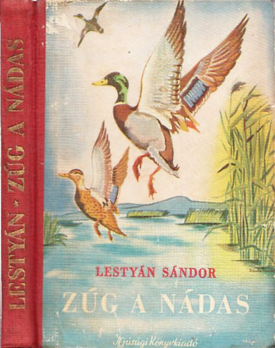 Lestyán Sándor - Zúg a nádas
