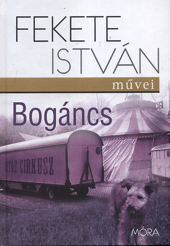 Fekete Istvn - Bogncs