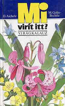 D. Aichele; M. Golte-Bechtle - Mi virt itt? - Virgkalauz