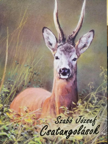 Szab Jzsef - Csatangolsok _ Vadszati novellk