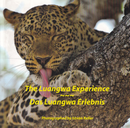 Photo: István Keller - The Luangwa Experience - Das Luangwa Erlebnis