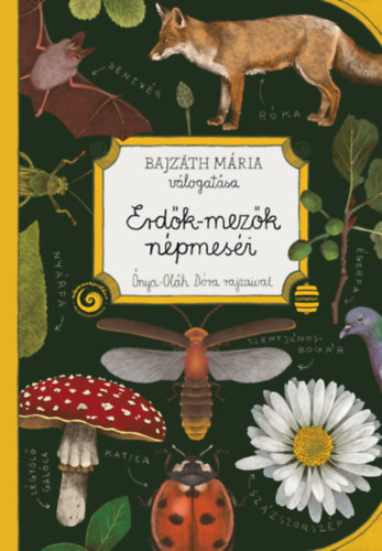 Bajzth Mria - Erdk-mezk npmesi