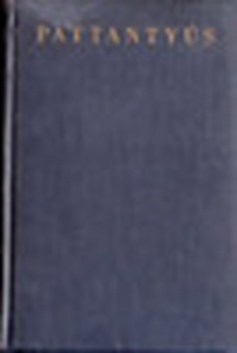 Dr. Pattanty�s �. G�za - Pattanty�s g�p�sz- �s villamosm�rn�k�k k�zik�nyve 6.