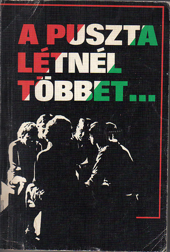 Csia Lajos - A puszta ltnl tbbet... - Az j Testamentum
