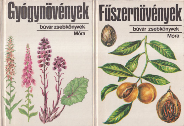 2db bvr zsebknyv: Fszernvnyek + Gygynvnyek