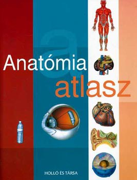 Vincze Zsuzsa  (szerk.) - Anatmia atlasz
