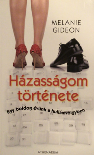 Melanie Gideon - Hzassgom trtnete - Egy boldog vnk a hullmvlgyben