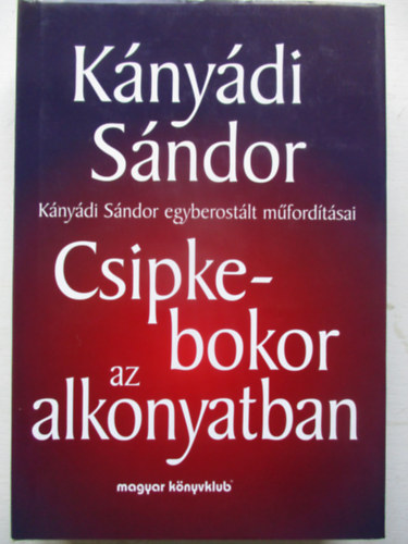 Knydi Sndor - Csipkebokor az alkonyatban