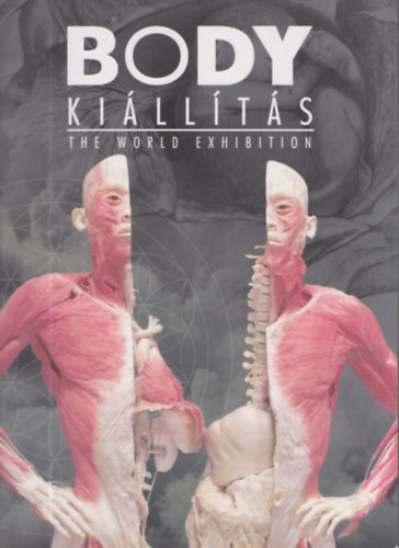 Body killts - The World Exhibition
