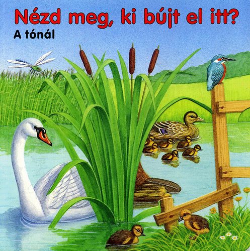 Nzd meg, ki bjt el itt? - A tnl