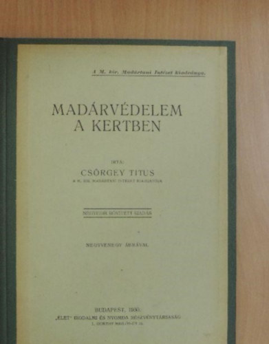 Csrgey Titus - Madrvdelem a kertben