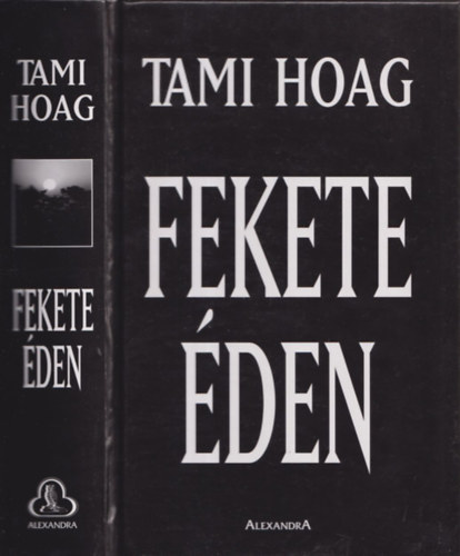 Tami Hoag - Fekete den