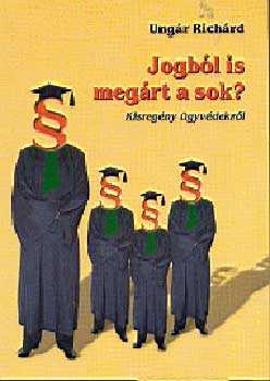 Ungr Richrd - Jogbl is megrt a sok? - Kisregny gyvdekrl