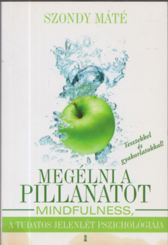 Szondy Mt - Meglni a pillanatot - Mindfullness, a tudatos jelenlt pszicholgija