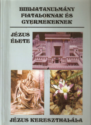 Kökényes Zsuzsa - Jézus kereszthalála - Bibliatanulmány fiataloknak és gyermekeknek