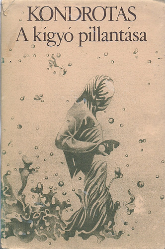 Saulius Tomas Kondrotas - A k�gy� pillant�sa