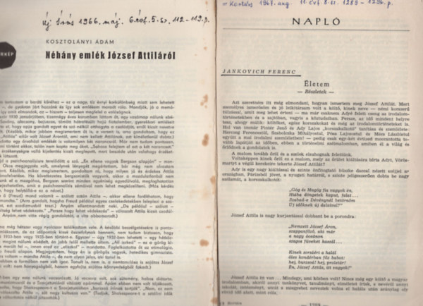 Szalatnai Rezső, Kosztolányi Ádám Bokor László - József Attila cikkek ( 7 db )