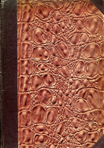 Vigh Bertalan - A villamosság alapfogalmai