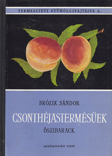 Brzik Sndor - Csonthjastermsek-szibarack