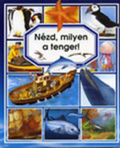 Beaumont-Pimont - Nézd, milyen a tenger!