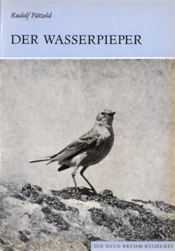 Rudolf P�tzold - Der Wasserpieper (Anthus spinoletta)