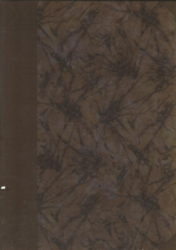 A Kegyes-Tanítórendiek budapesti társházának és főgimnáziumának építkezése