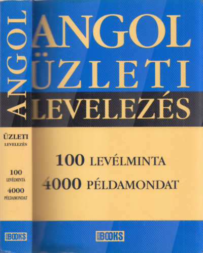 Birgit Abegg - Michael Benford - Angol zleti levelezs - 100 levlminta, 4000 pldamondat