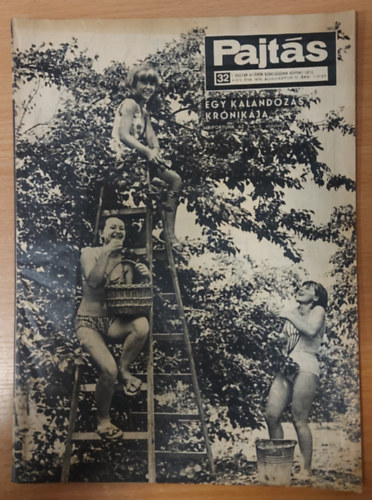 Vasv�ri Ferenc  (szerk.) - Pajt�s XXV. �vfolyam, 32. sz�m (1970)