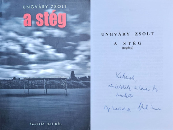 Ungvry Zsolt - A stg