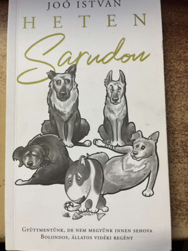 Joó István - Heten Sarudon