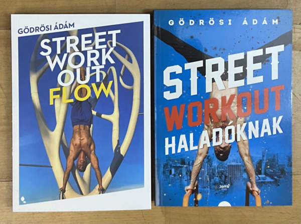 G�dr�si �d�m - 2 db street workout k�nyv G�dr�si �d�mt�l - Street workout halad�knak, Street workout flow