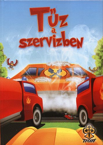 Biharin Kun Erika - Tz a szervzben