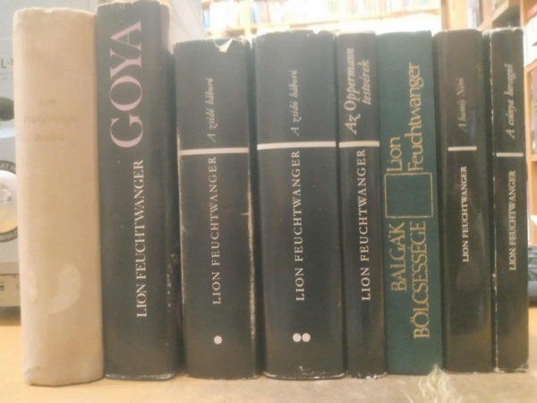 Lion Feuchtwanger - 8 db Lion Feuchtwanger: A csúnya hercegnő; A hamis Néró; Az Oppermann testvérek; Balgák bölcsessége; Goya; A siker; A zsidó háború I-II.