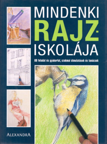 Mindenki rajziskolja.  60 feladat, gyakorlati leckk, szakmai tmutatsok s tancsok