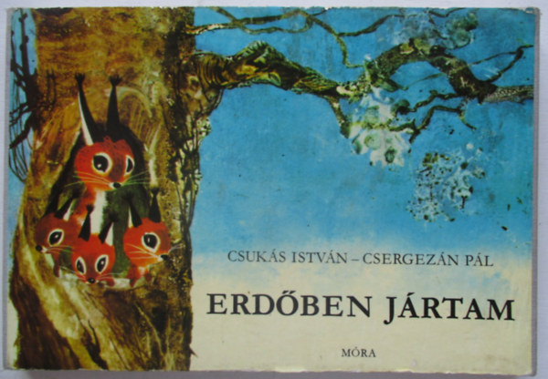 Csuk�s-Csergez�n - Erd�ben j�rtam