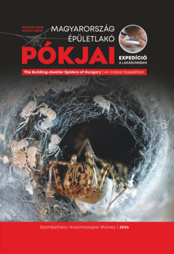 Szinetr Csaba Kovcs Gbor - Magyarorszg pletlak pkjai