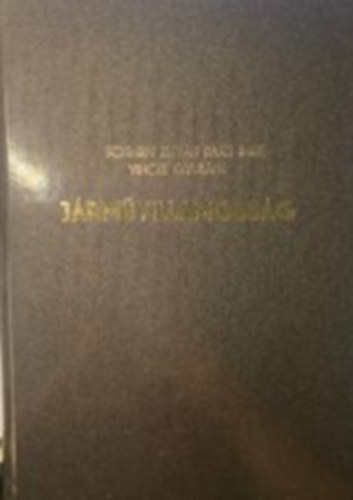 Rajki Imre, Vincze Gyul�n� Schmidt Istv�n - J�rm�villamoss�g