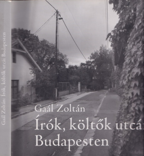 Gal Zoltn - rk, kltk utci Budapesten