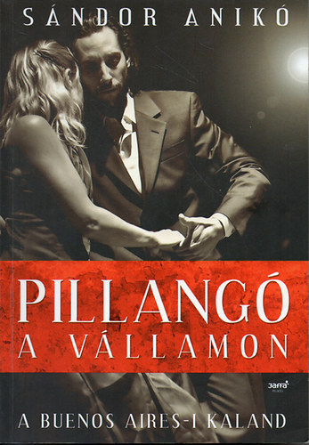 S�ndor Anik� - Pillang� a v�llamon - A Buenos Aires-i kaland