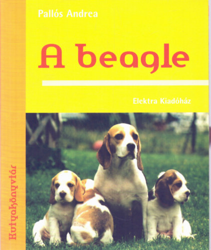 Palls Andrea - A beagle