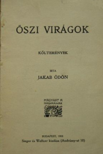 Jakab Ödön - Őszi virágok
